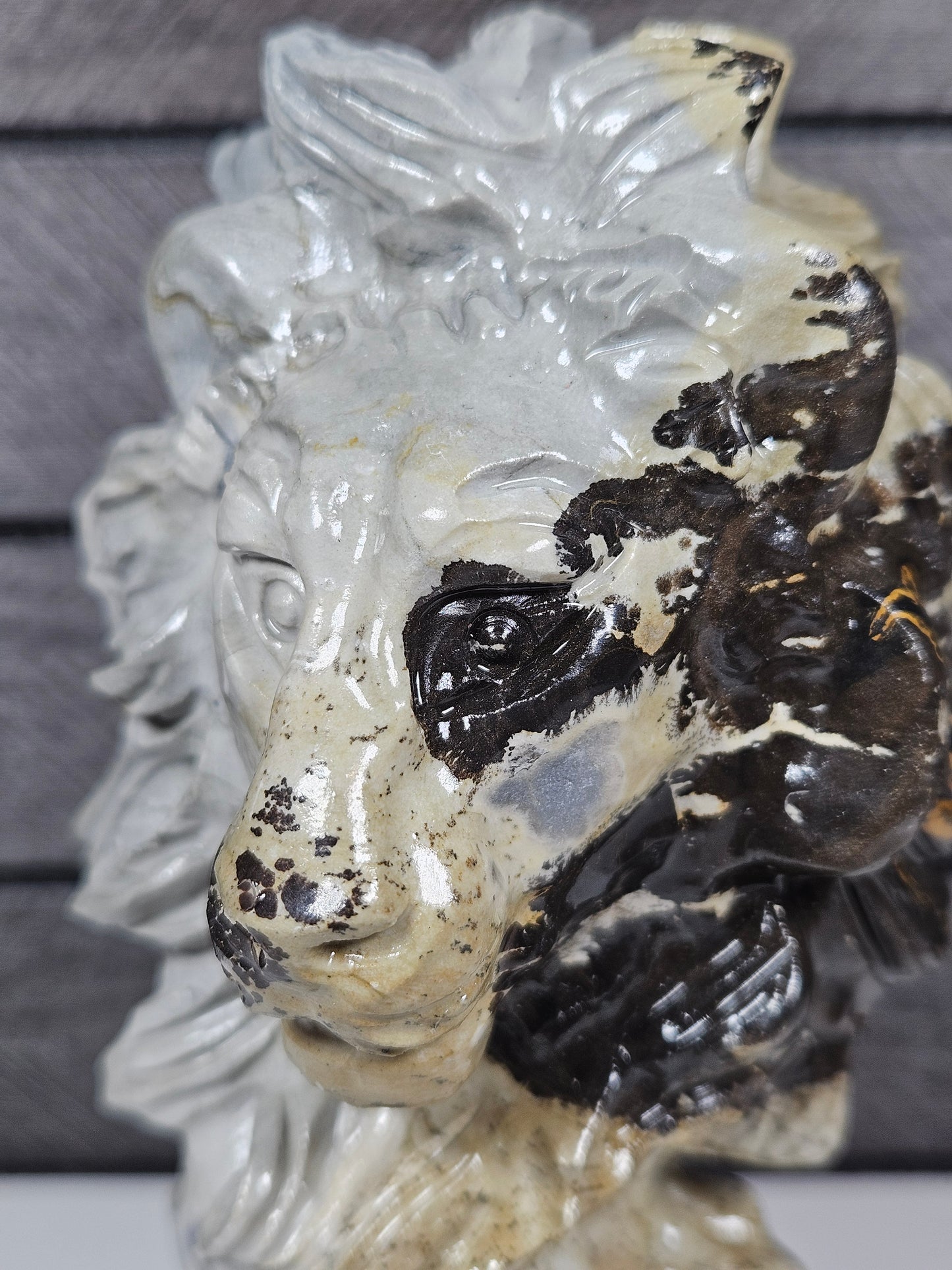 Landschap jaspis Leeuw 728 gram