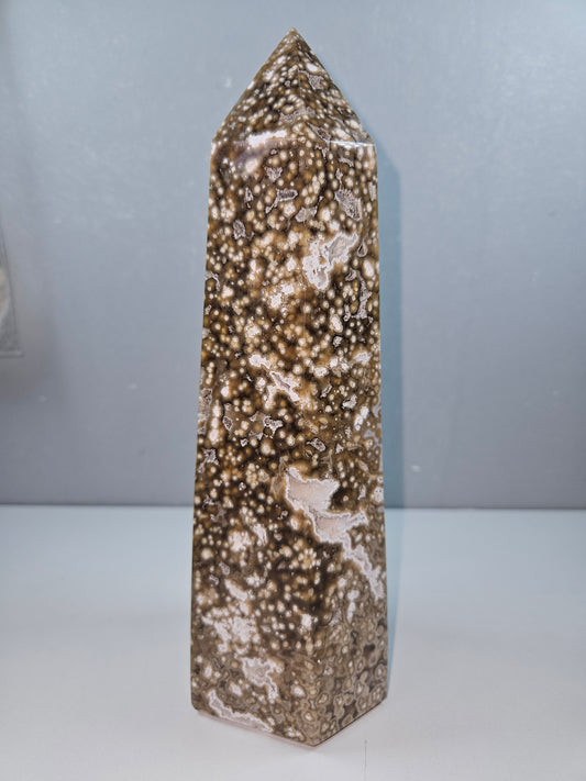 Oceaan jaspis 1368 gram