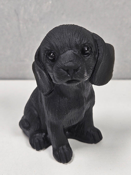 Zwarte obsidiaan puppy