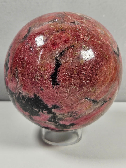 Rodoniet bol 1262 gram