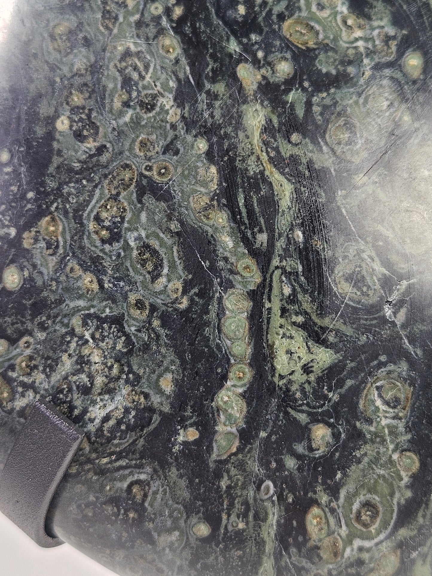 Kambaba Japis hart 1174 gram