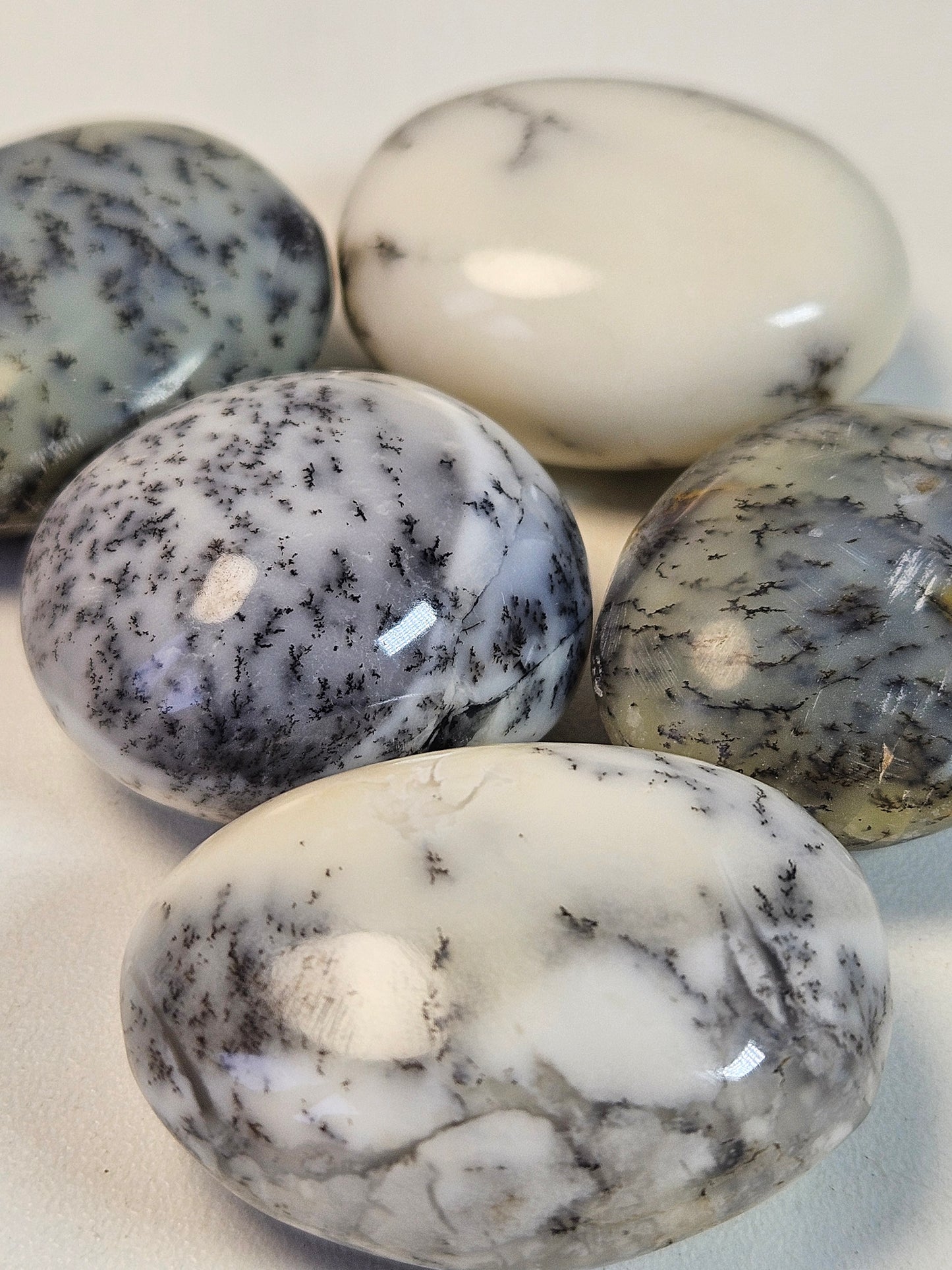 Dendriet agaat zaksteen