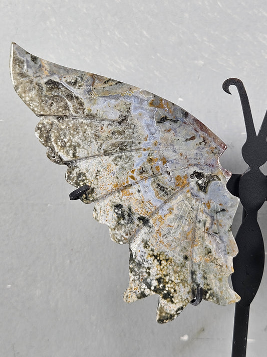 Oceaan jaspis vlinder 172