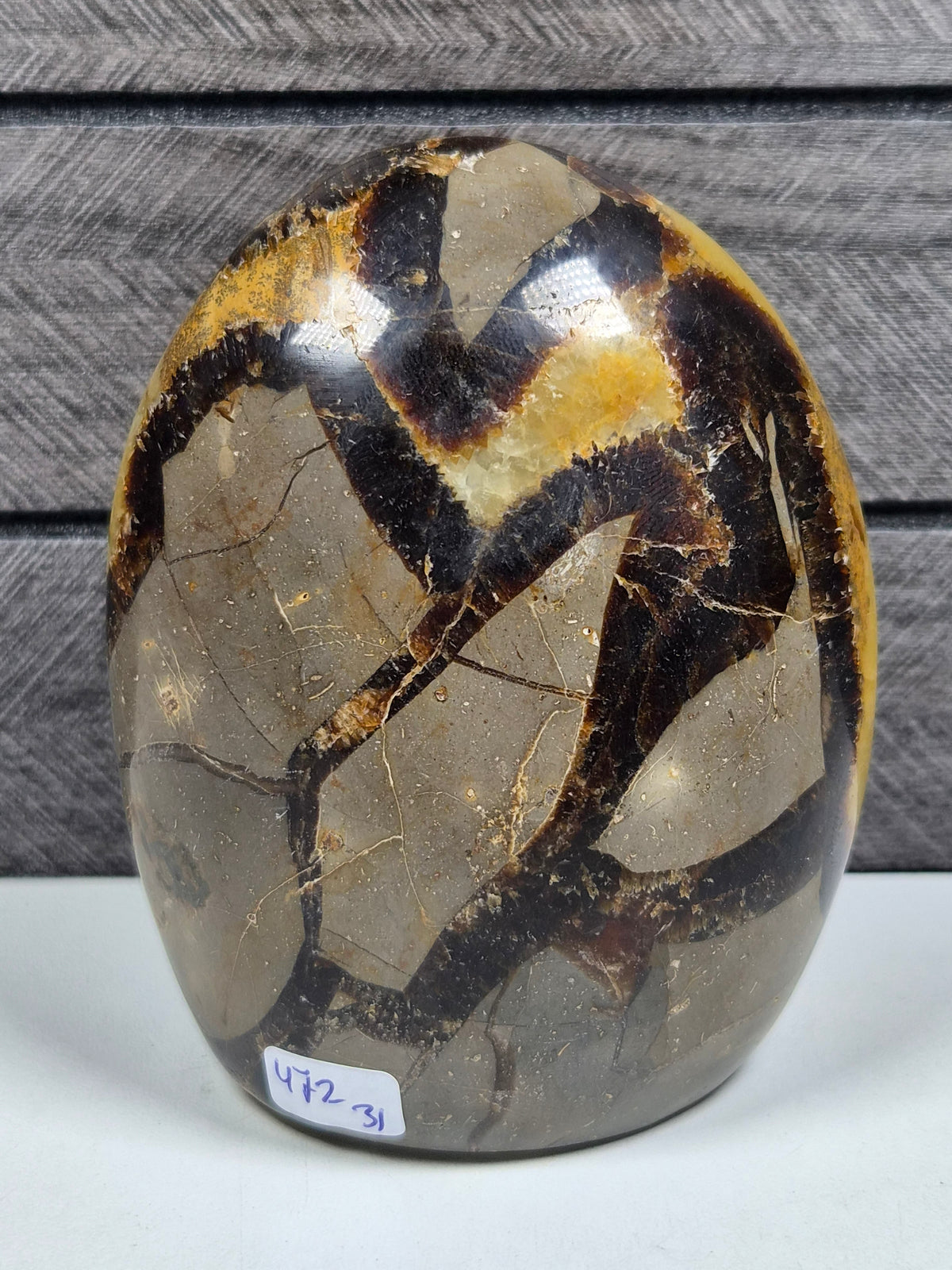 Septarie Sculptuur 472 gram