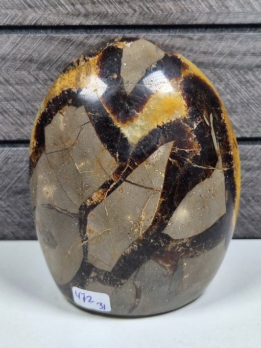 Septarie Sculptuur 472 gram