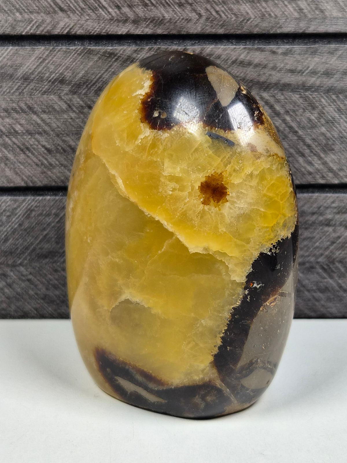 Septarie Sculptuur 472 gram