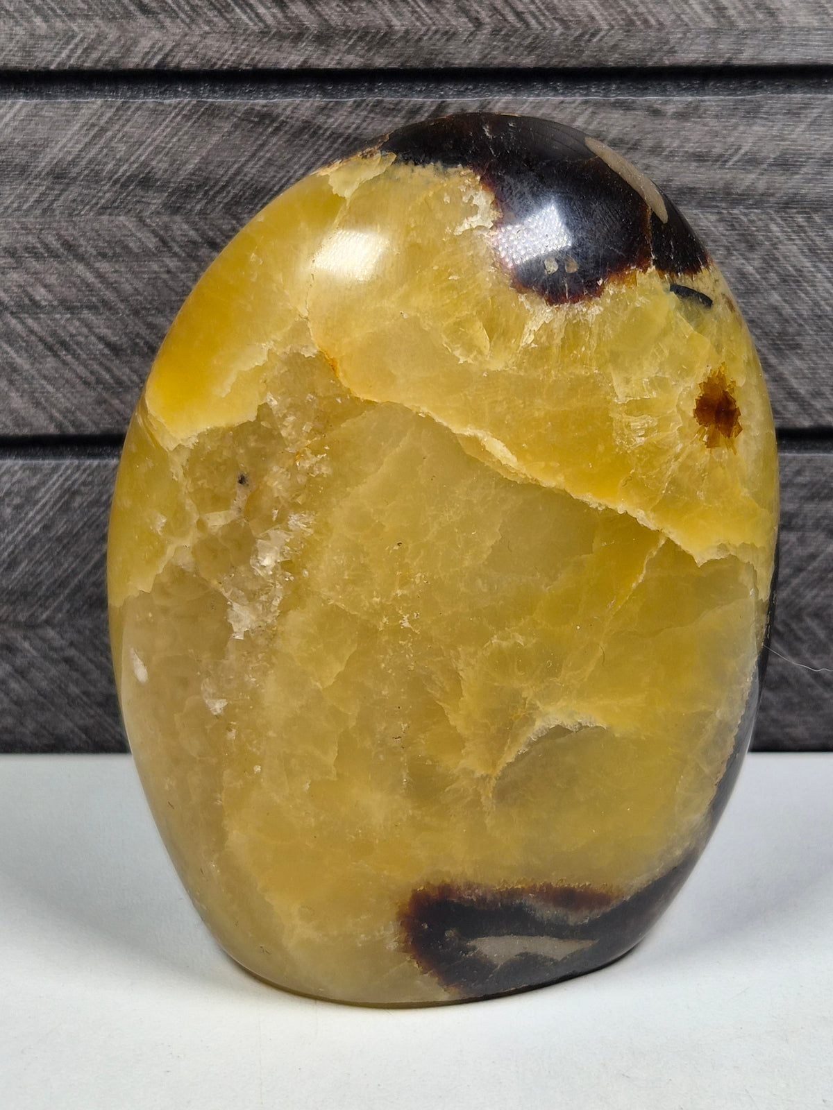 Septarie Sculptuur 472 gram