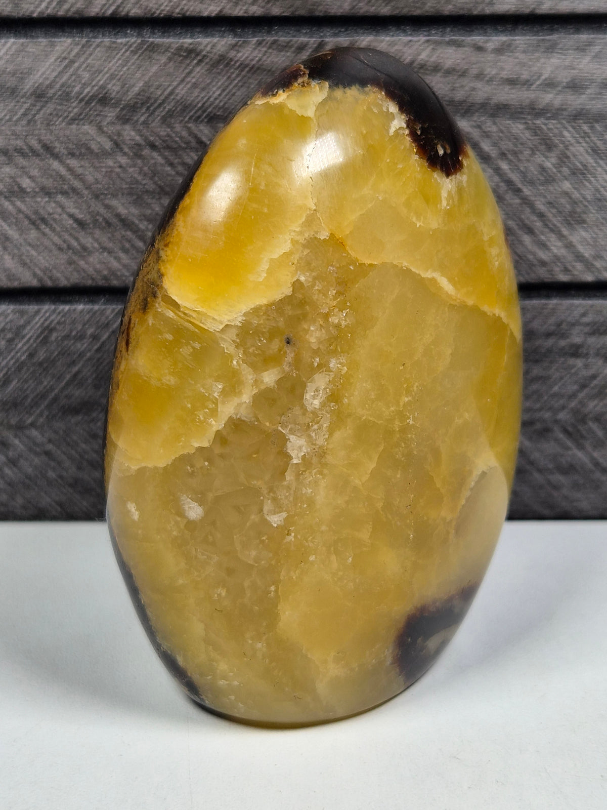 Septarie Sculptuur 472 gram