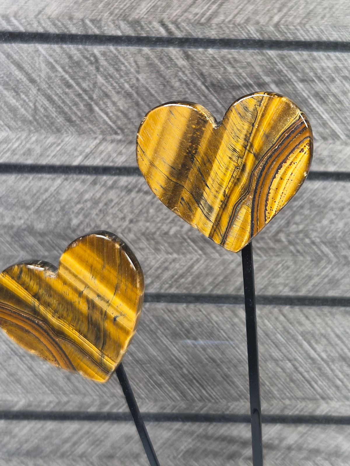 Tijgeroog Hartjes op Love Standaard