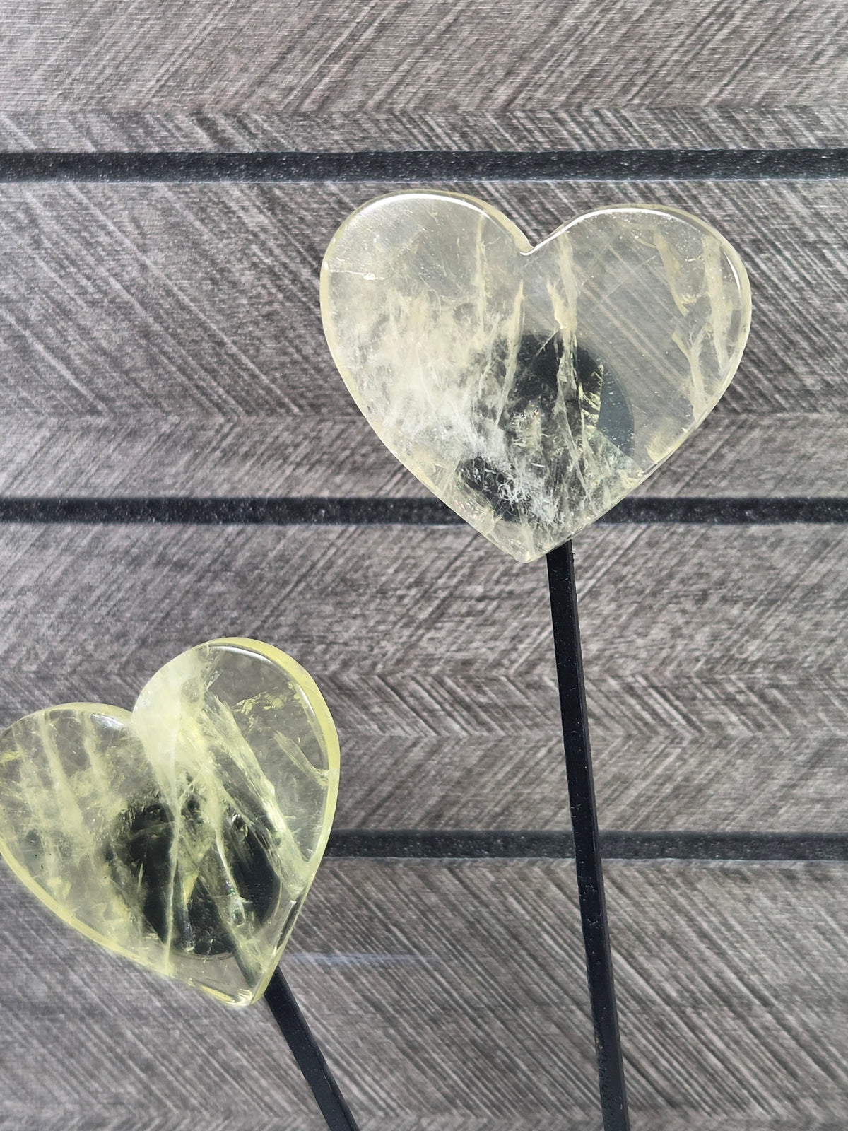 Citrien Hartjes op Love Standaard