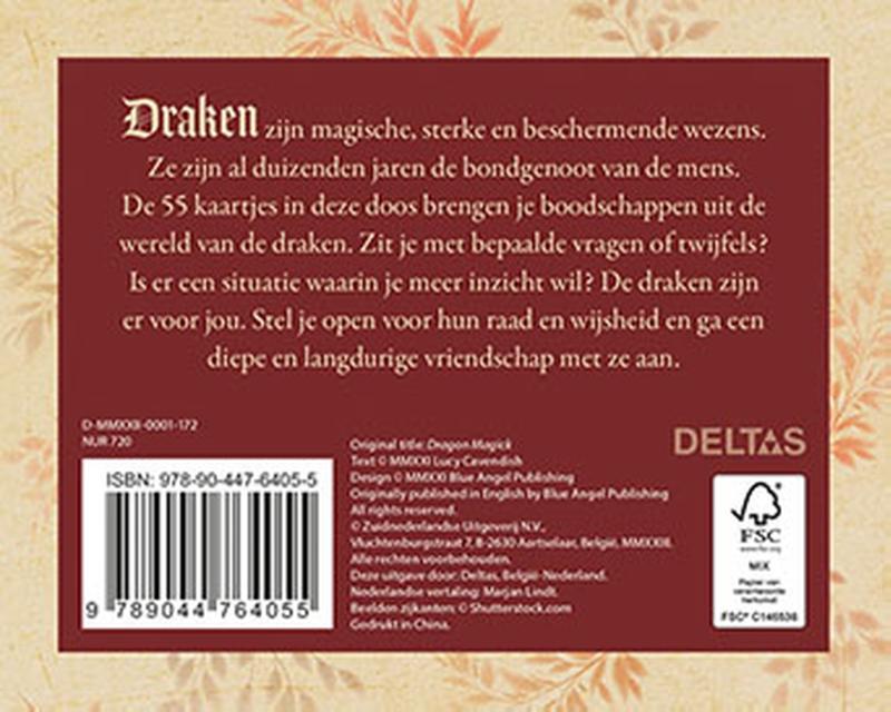 Vraag raad aan de draken, Magische boodschappen voor meer energie en kracht