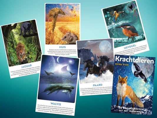Krachtdieren Kaarten (Nederlands)