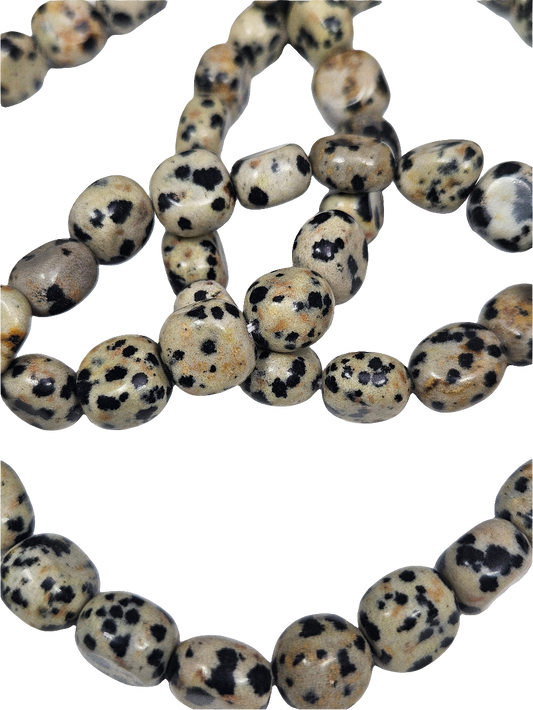 Dalmatier Jaspis trommelsteen armband 10mm
