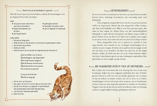 De magie van Katten, Rieka Moonsong