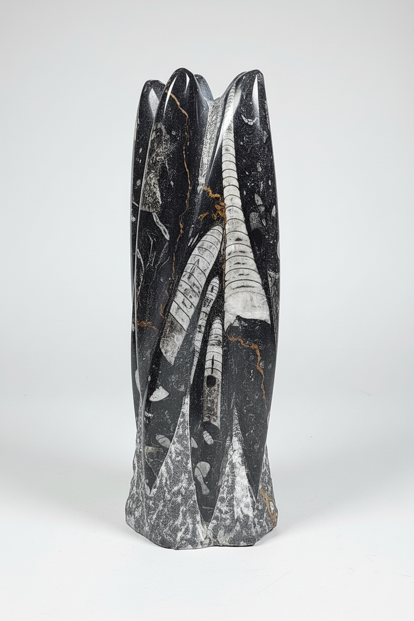 Orthoceras Sculptuur ca. 1500 gram
