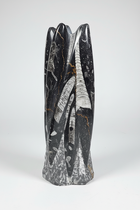 Orthoceras Sculptuur ca. 1500 gram