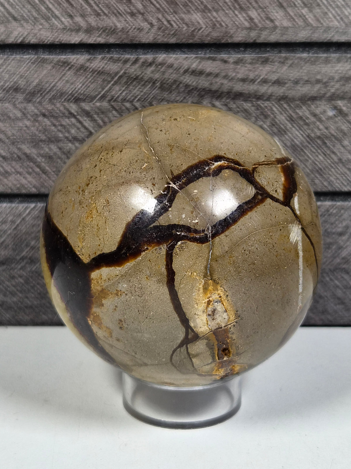Septarie bol 504 gram