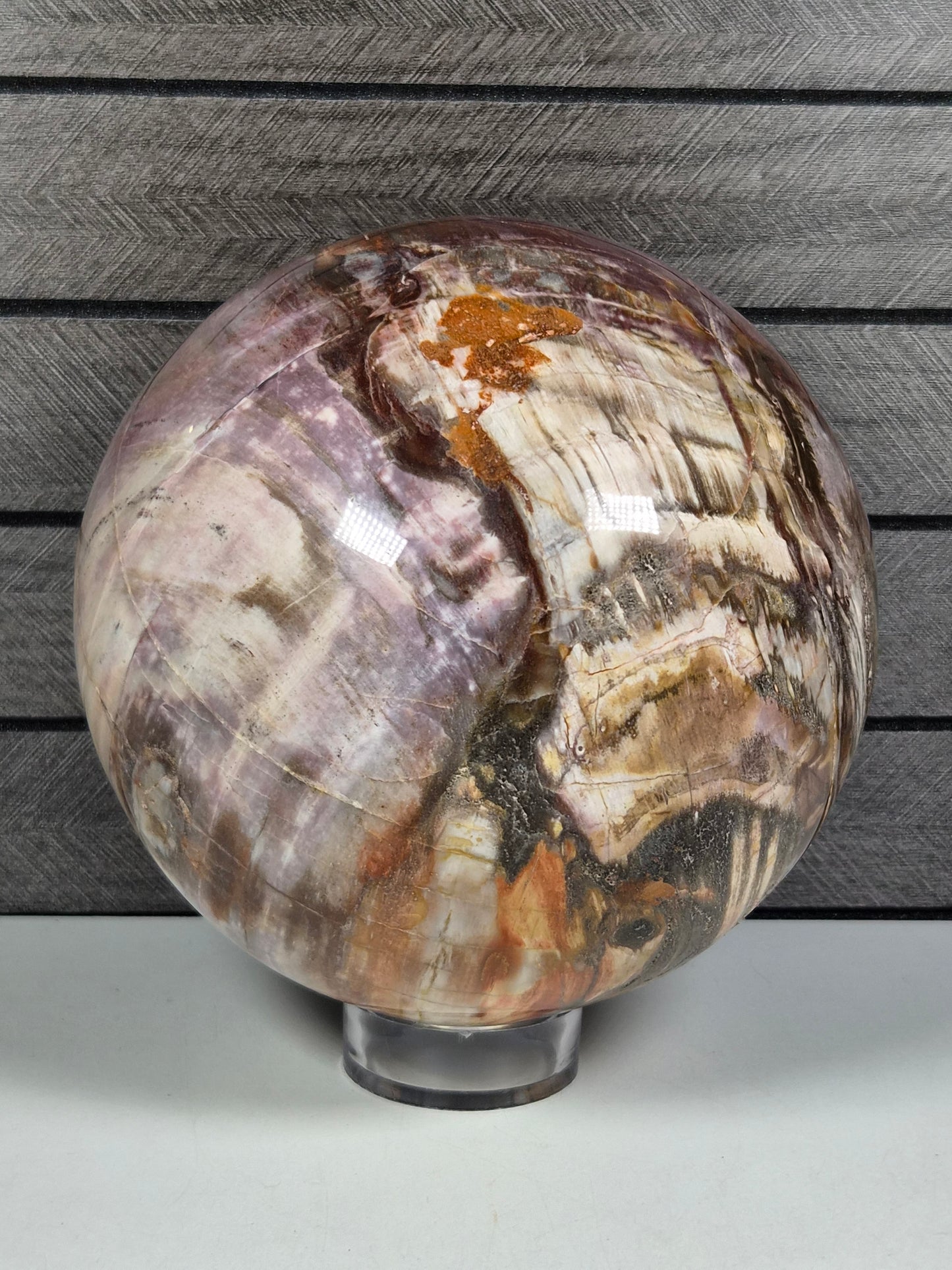 Versteend Hout bol 3934 gram