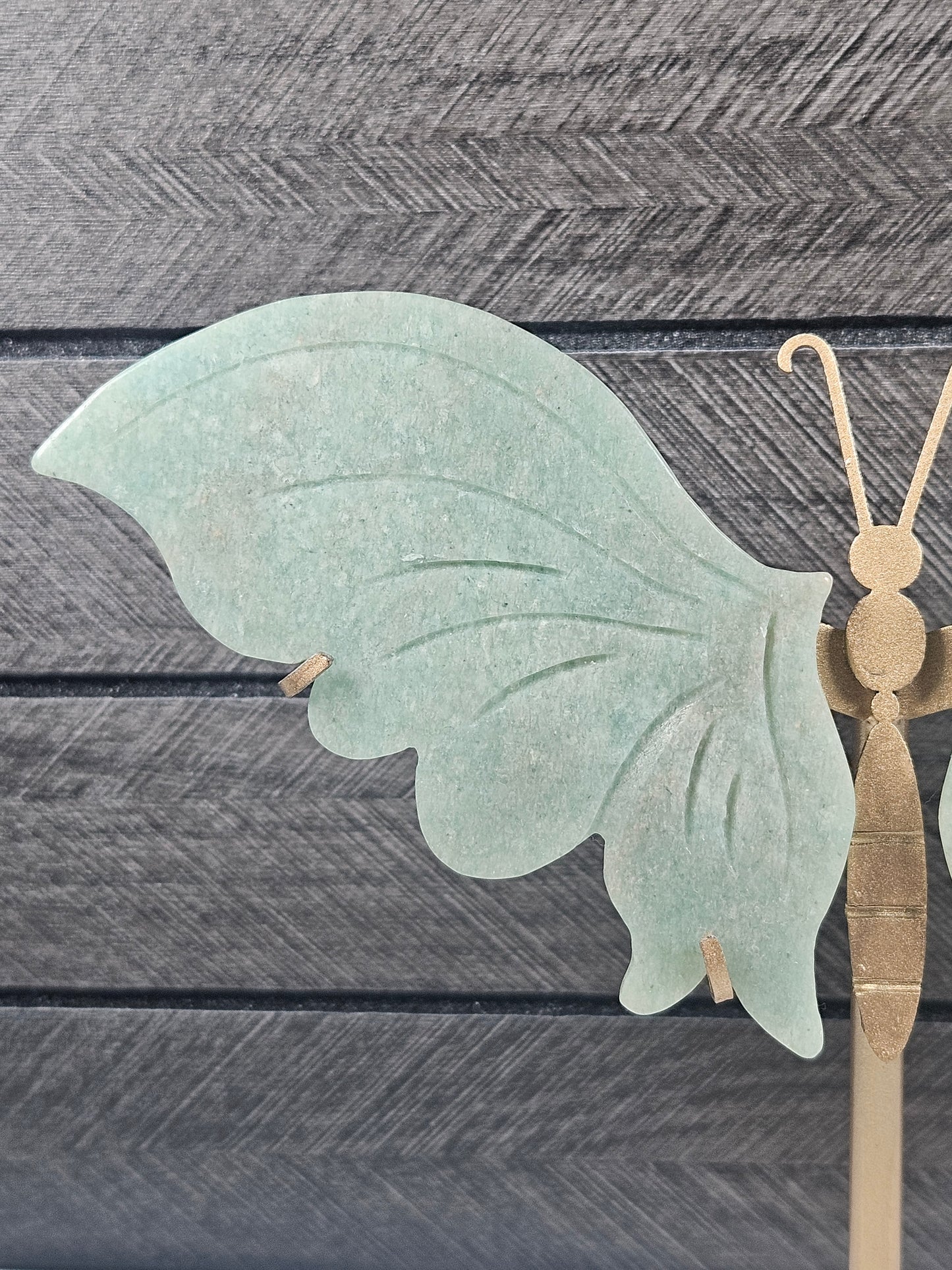 Amazoniet Vlinder C73