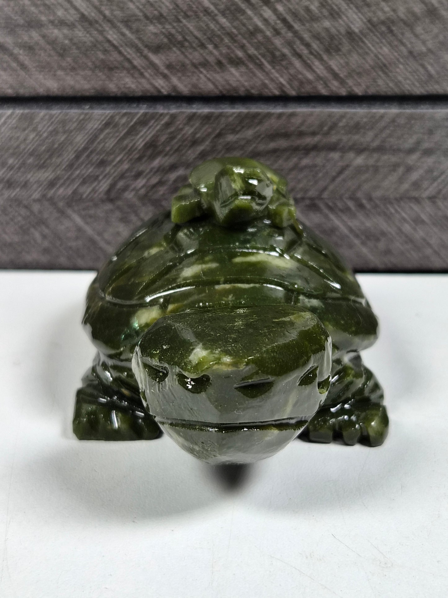 Groene Jade Schilpad Ouder en Kind