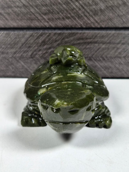 Groene Jade Schilpad Ouder en Kind