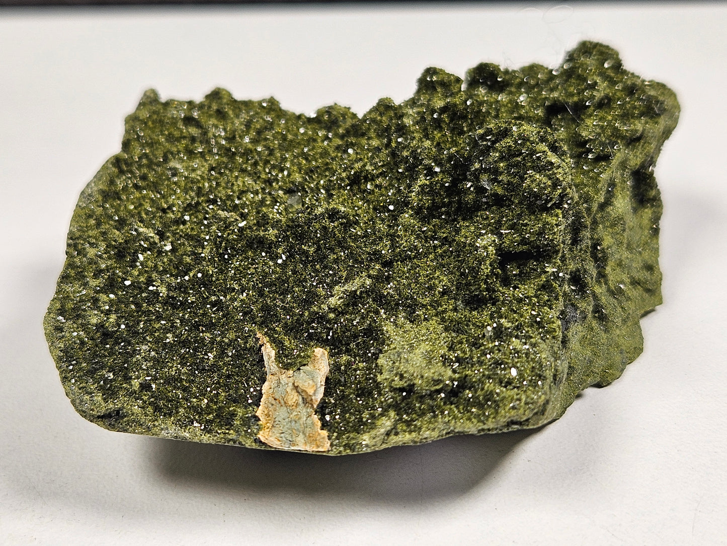 Forest Epidoot 108 gram