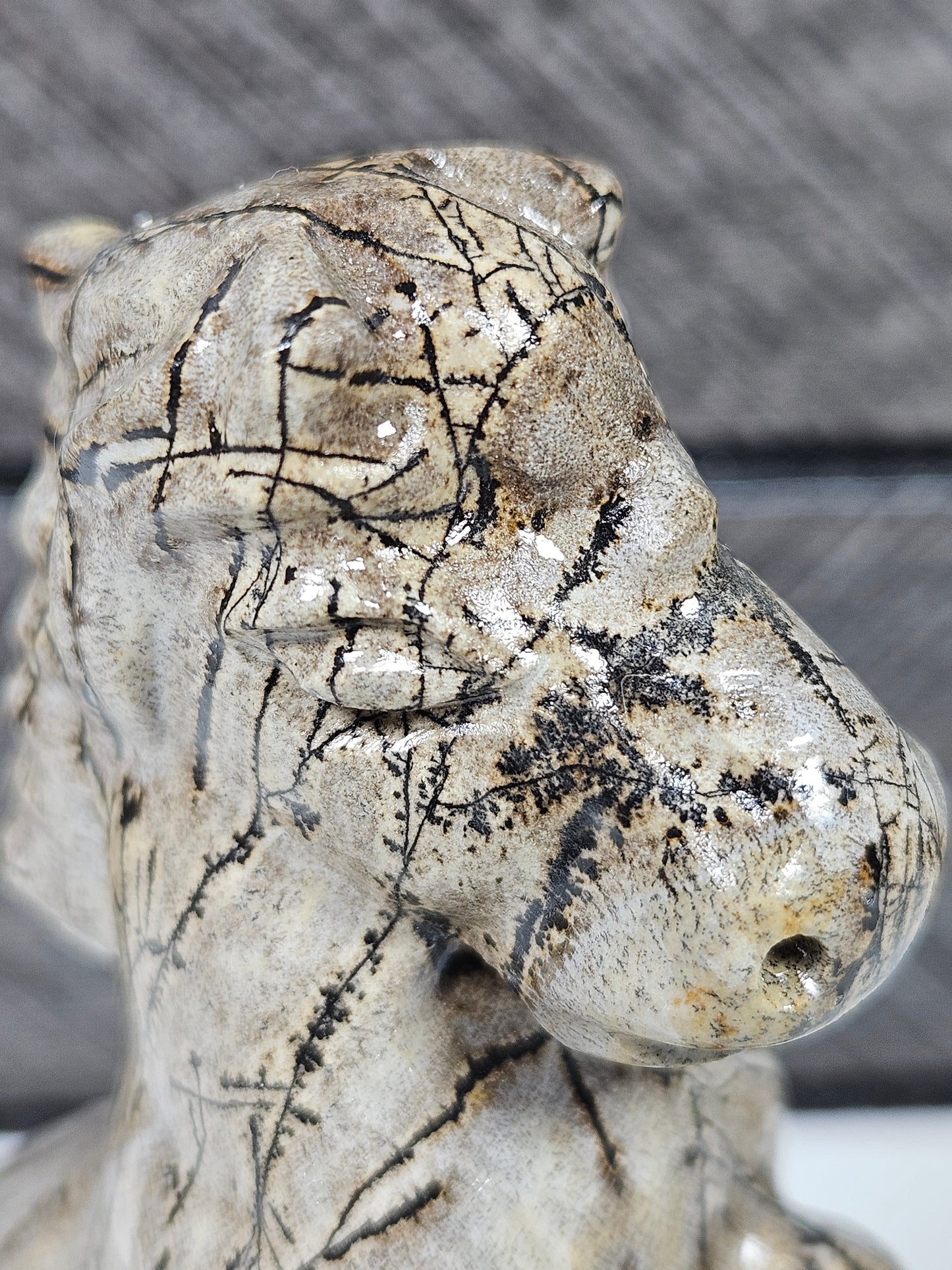 Landschap Jaspis Paard