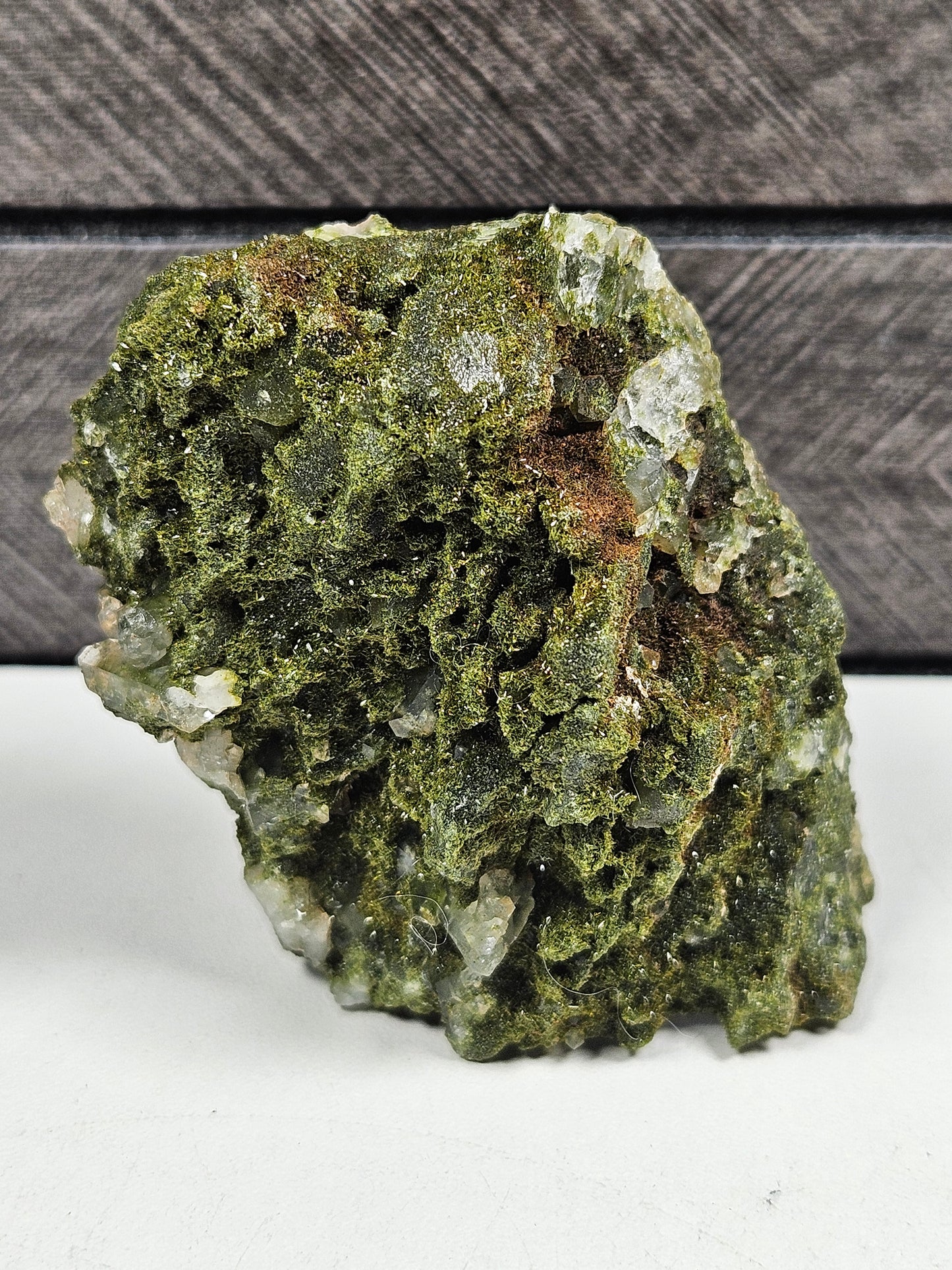 Forest Epidoot 106 gram