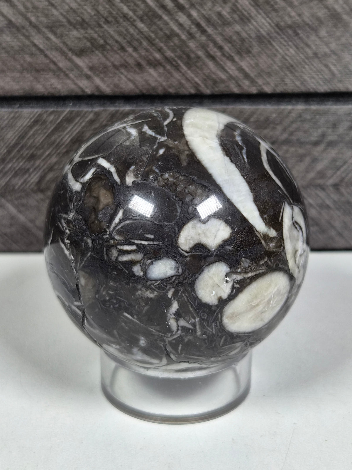 Sea Shell Jaspis bol 204 gram