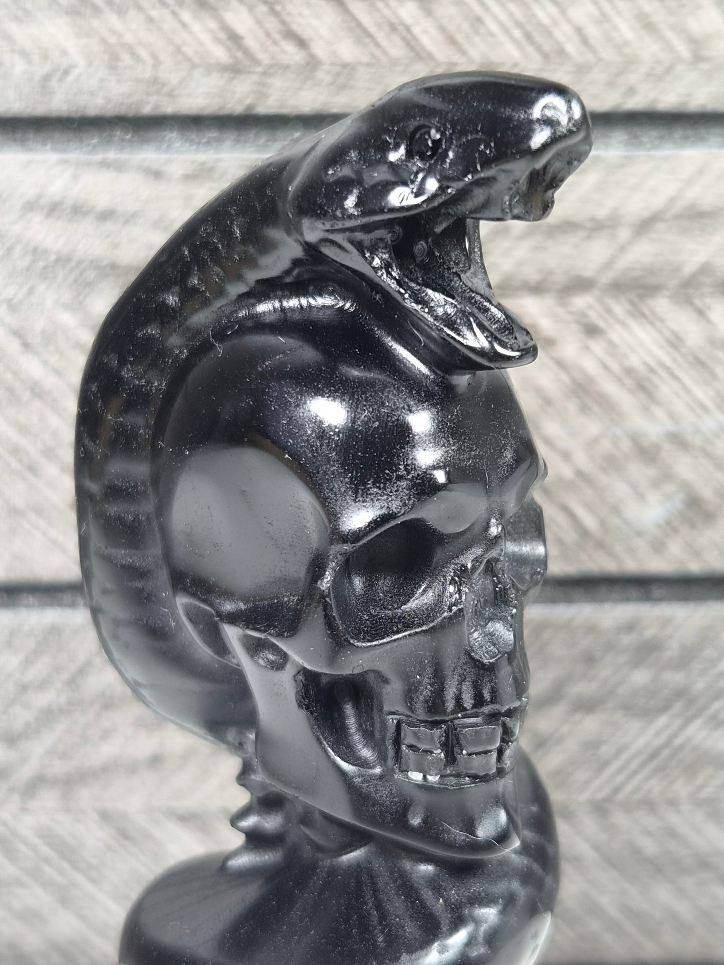Obsidiaan Schedel met Slang