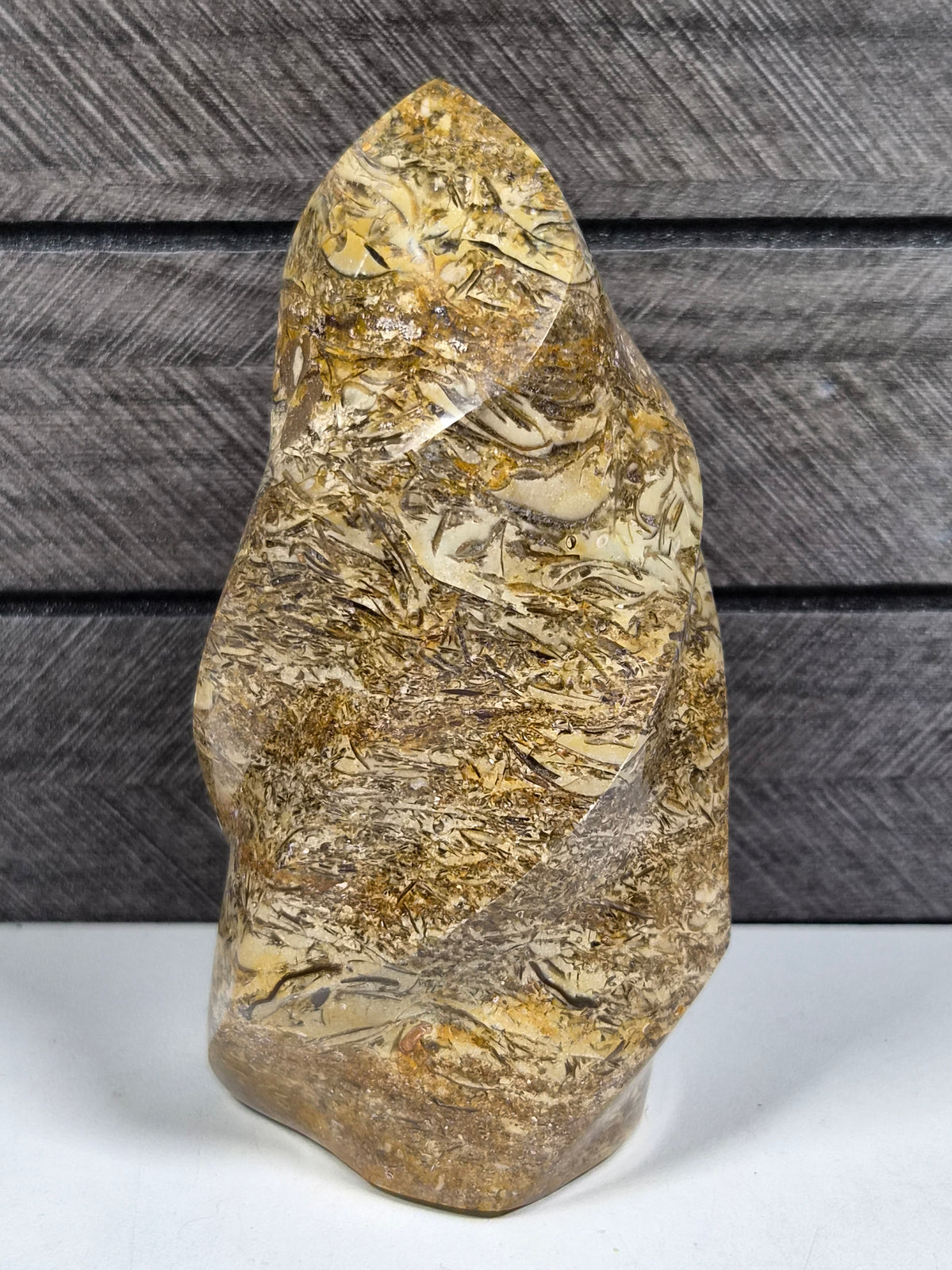 Fossiel Jaspis Sculptuur 424 gram