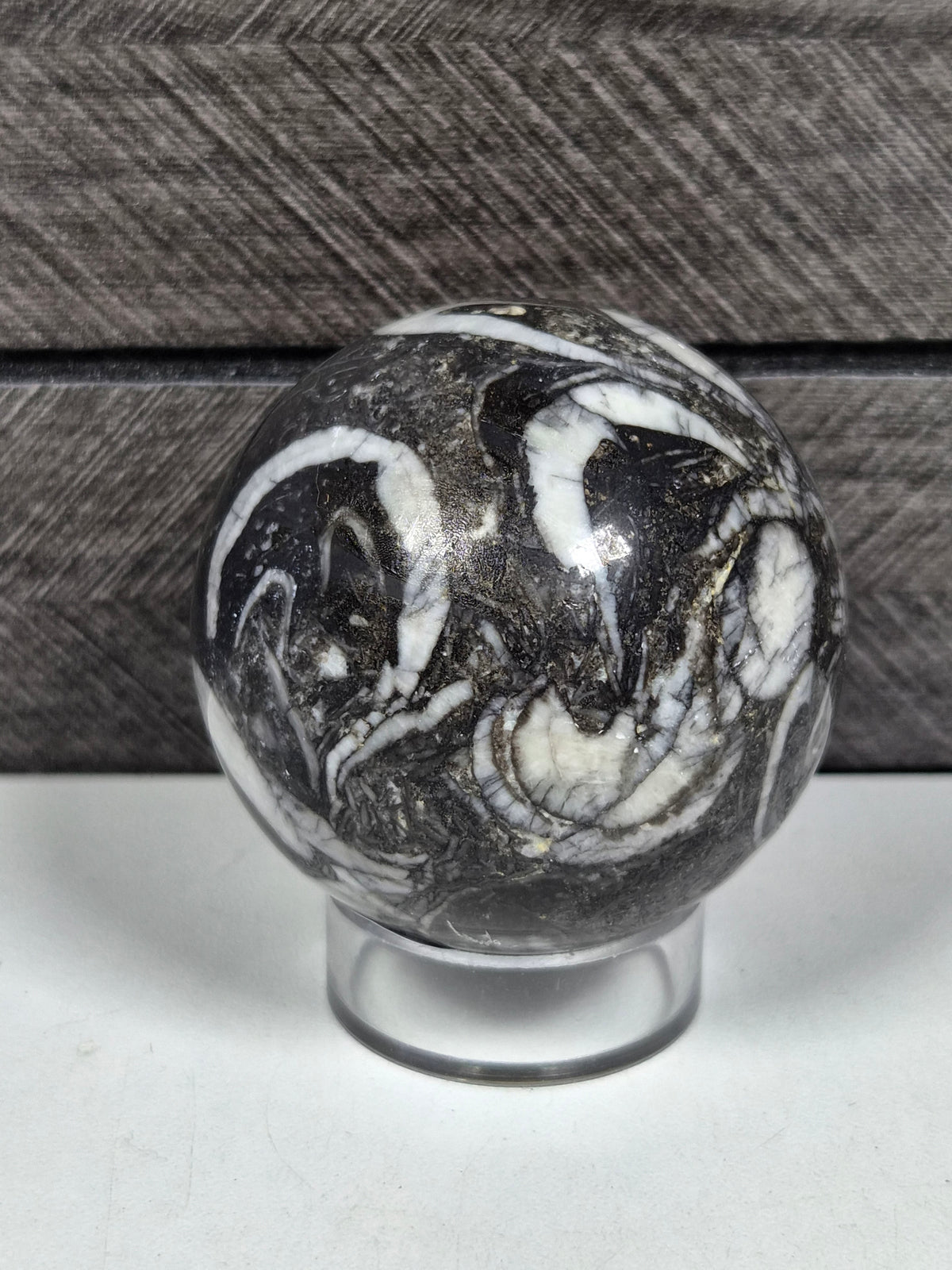 Sea Shell Jaspis bol 202 gram