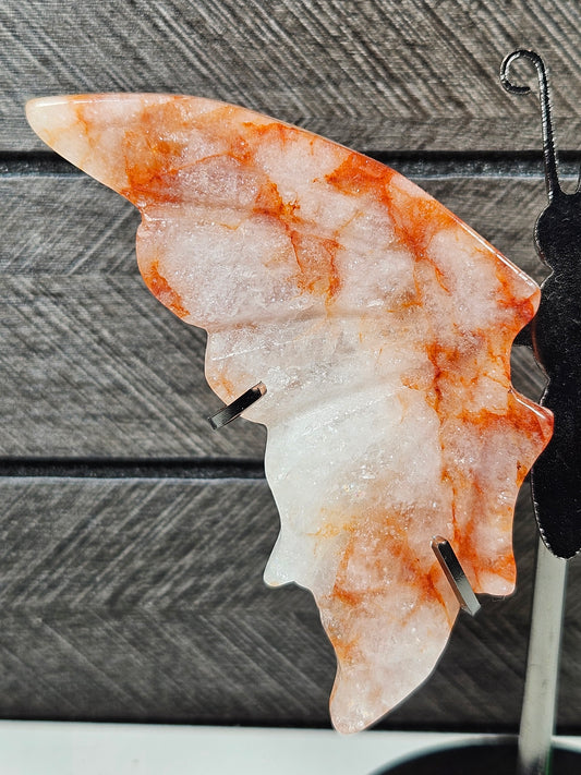 Vuurkwarts vlinder Q5