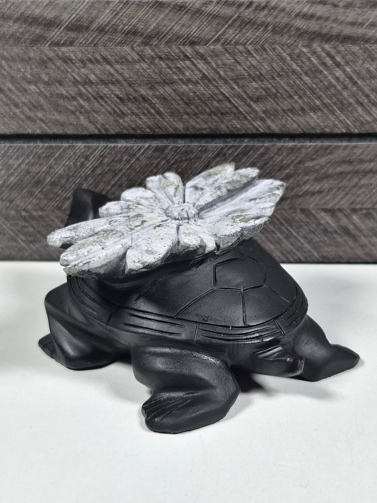 Chrystantemum Schildpad 264 gram