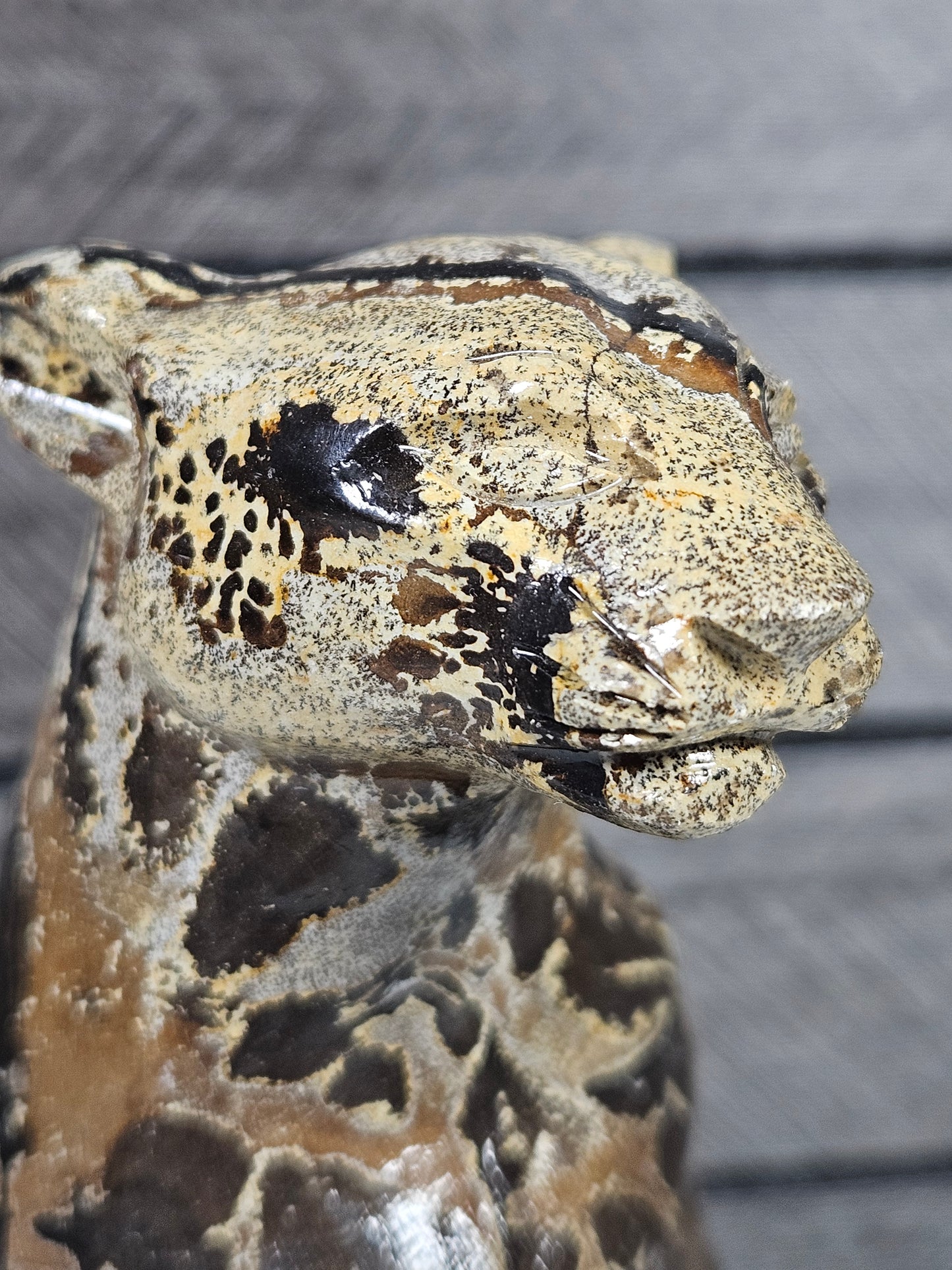 Landschaftsjaspis Leopard 650 Gramm