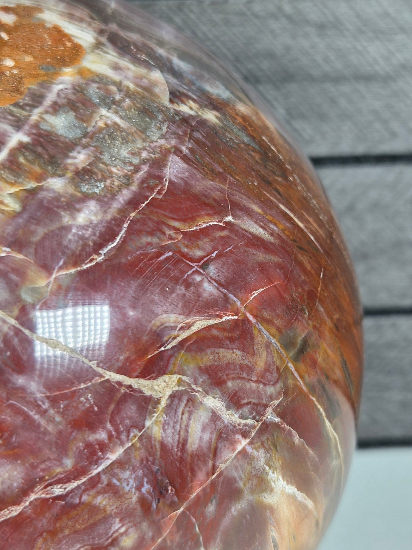 Versteend Hout bol 3934 gram
