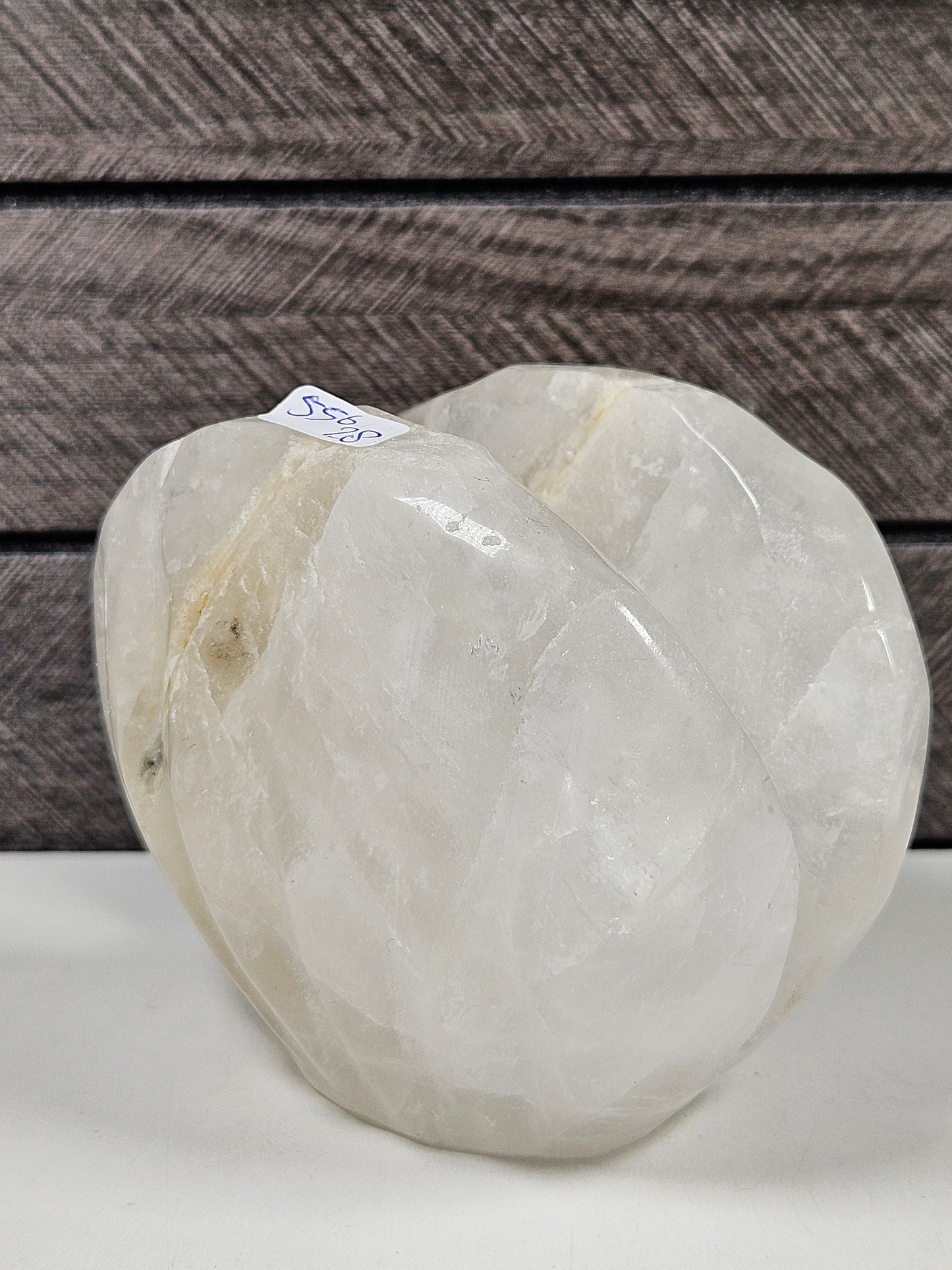Bergkristal Schelp 556 gram