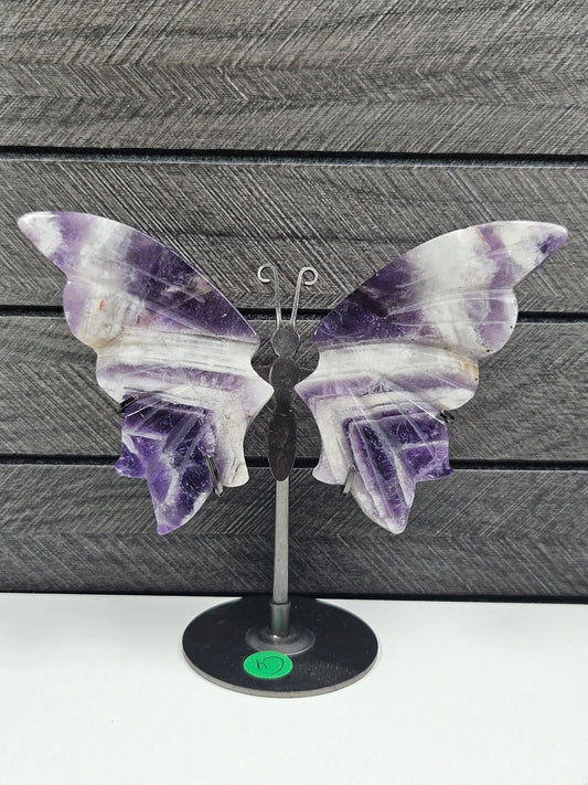 Dream amethist vlinder C4