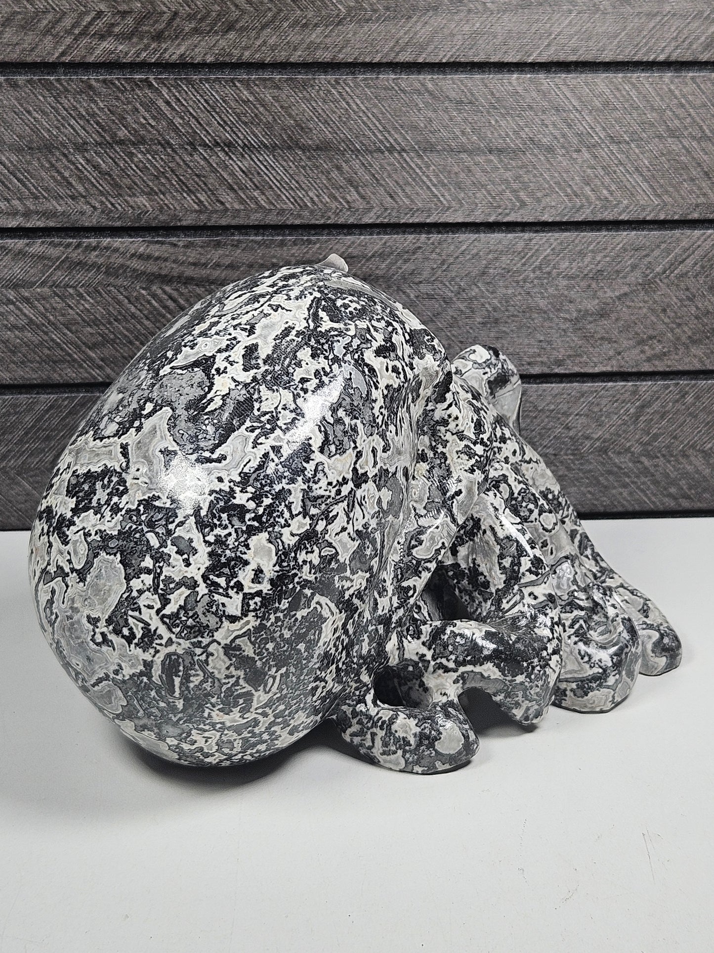 Picasso Jaspis Octopus Schedel 1724 gram