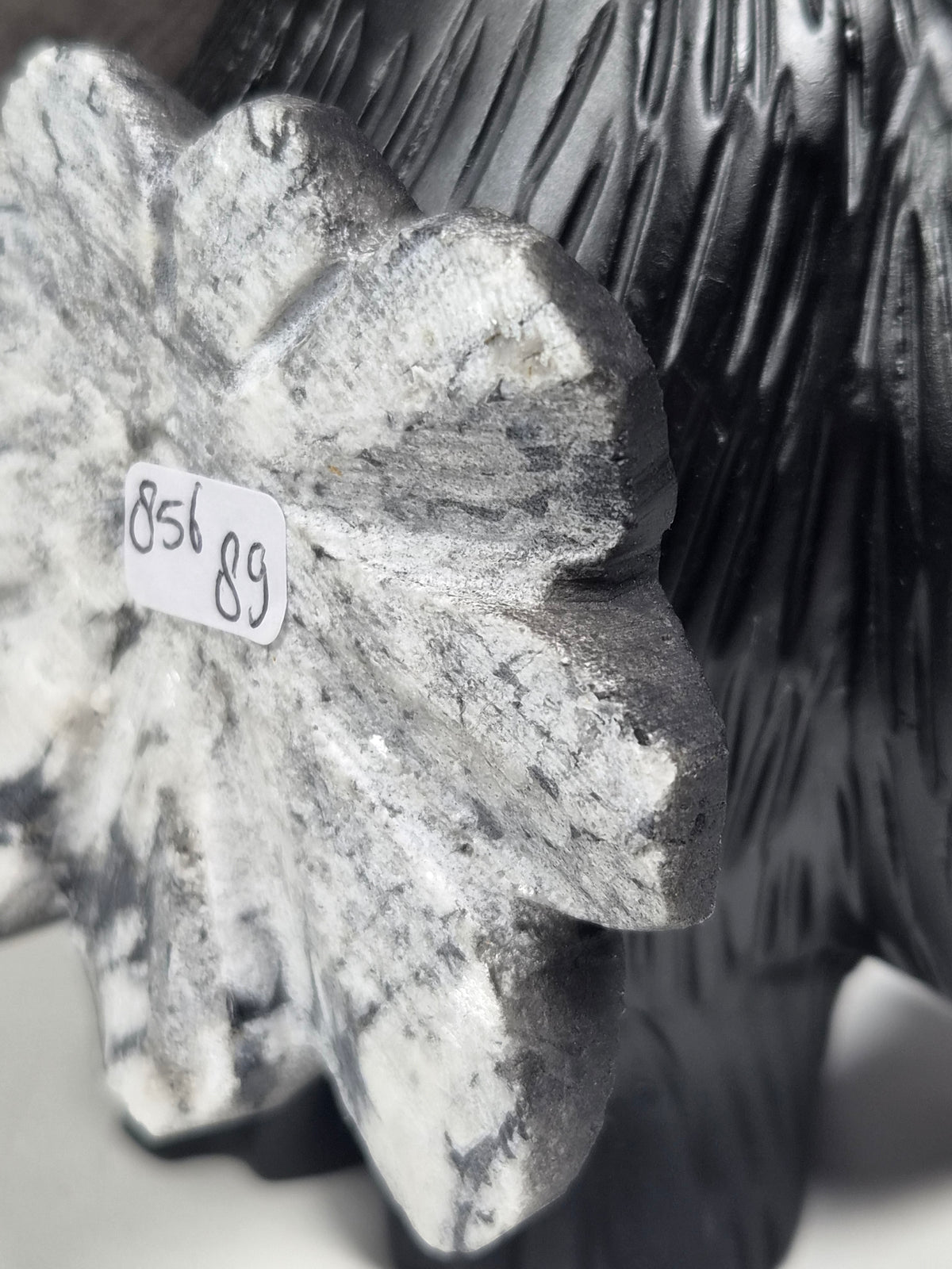 Chrystanthemum Pinguïn 856 gram