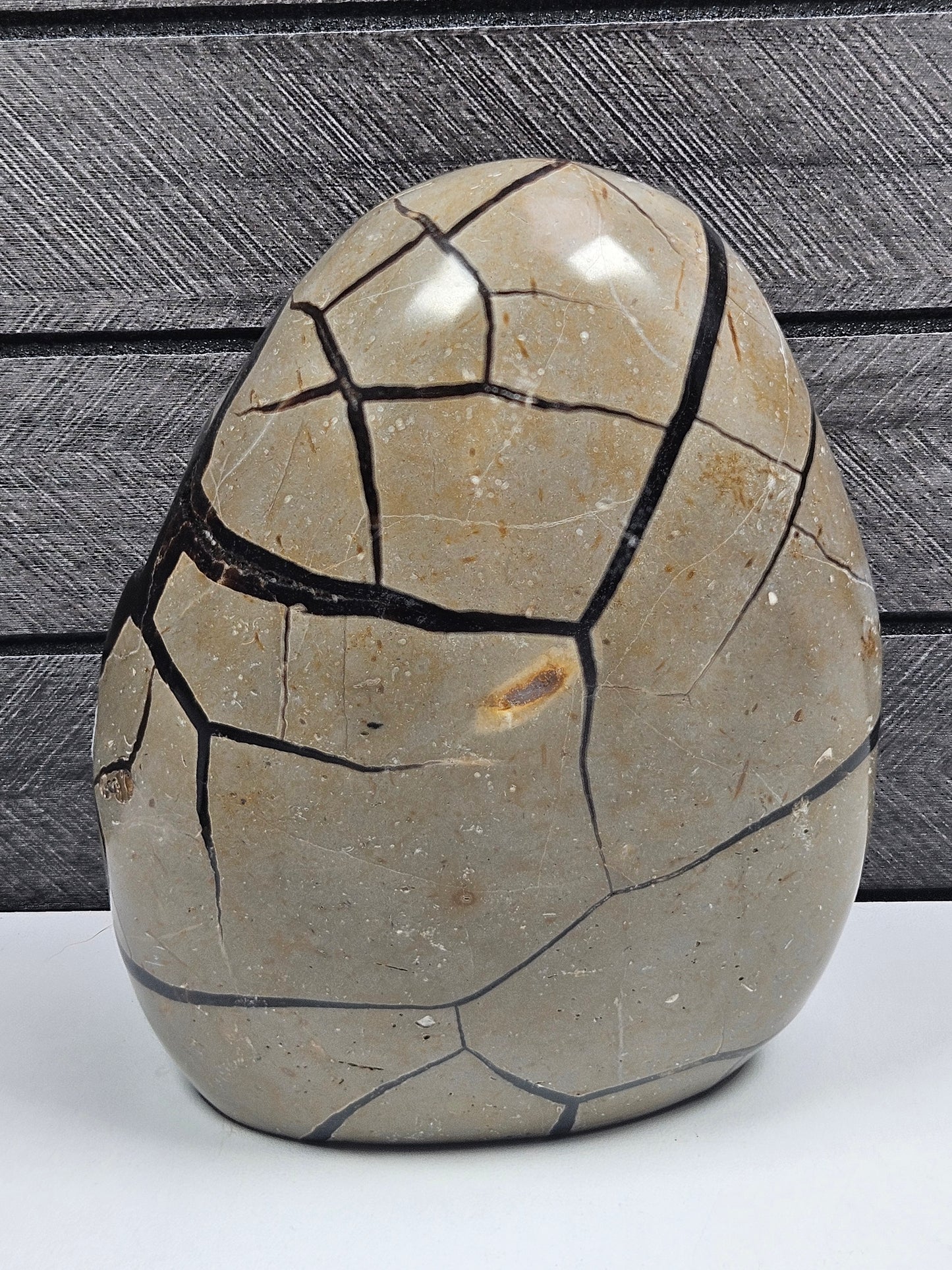 Septarie op standvlak 982gram