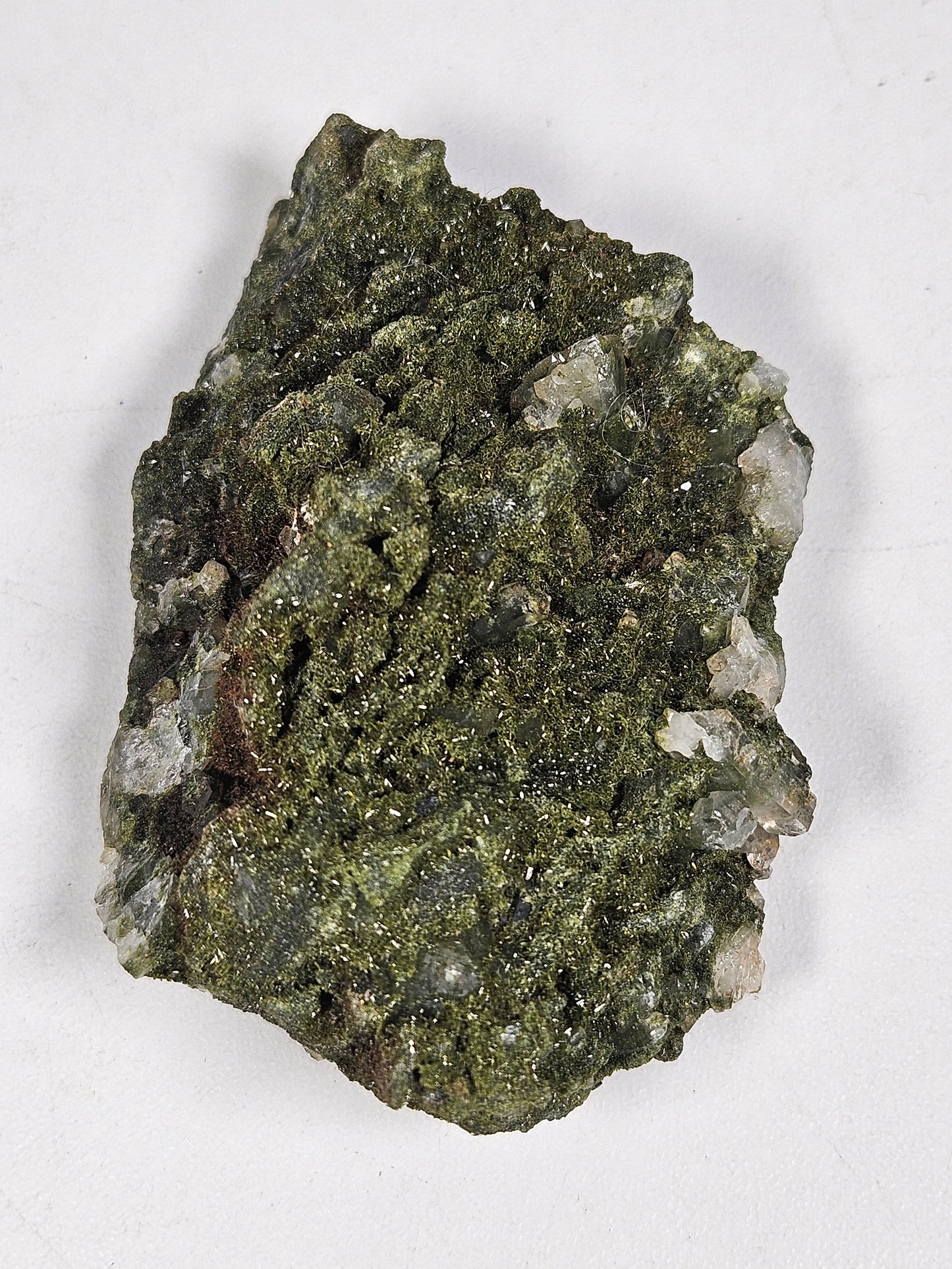 Forest Epidoot 106 gram