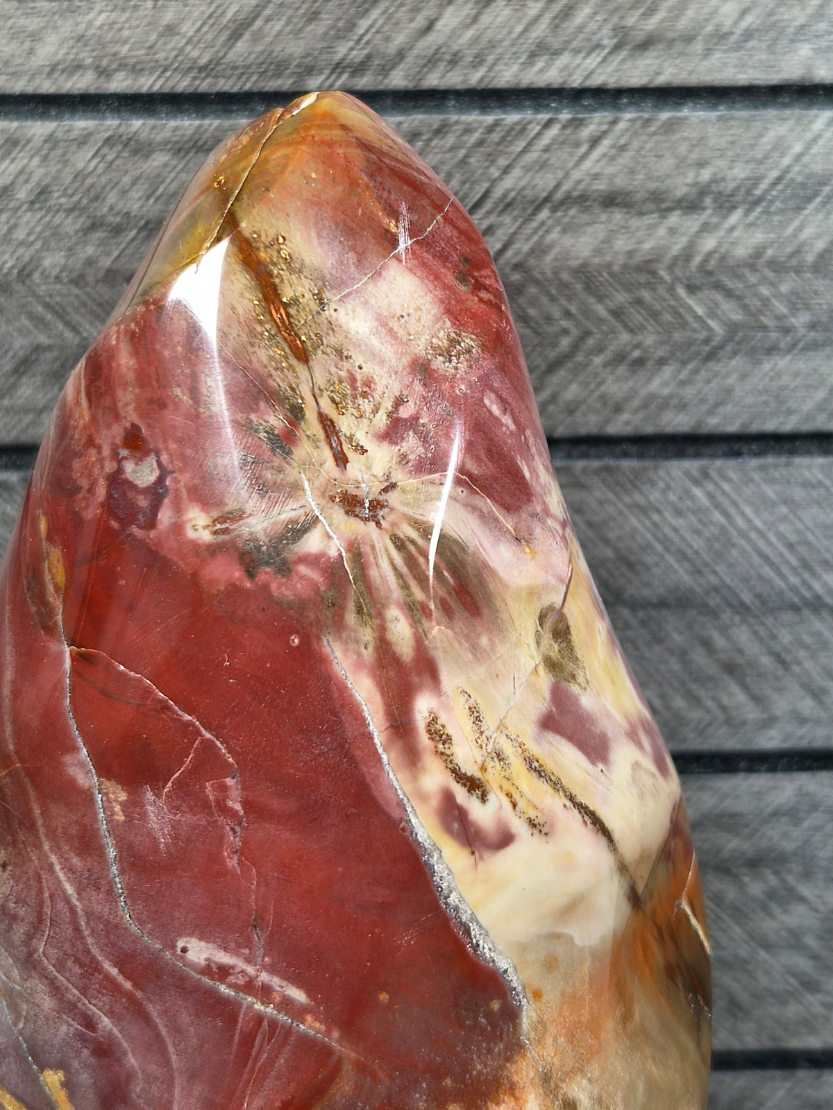 Versteend Hout Sculptuur 1652 gram