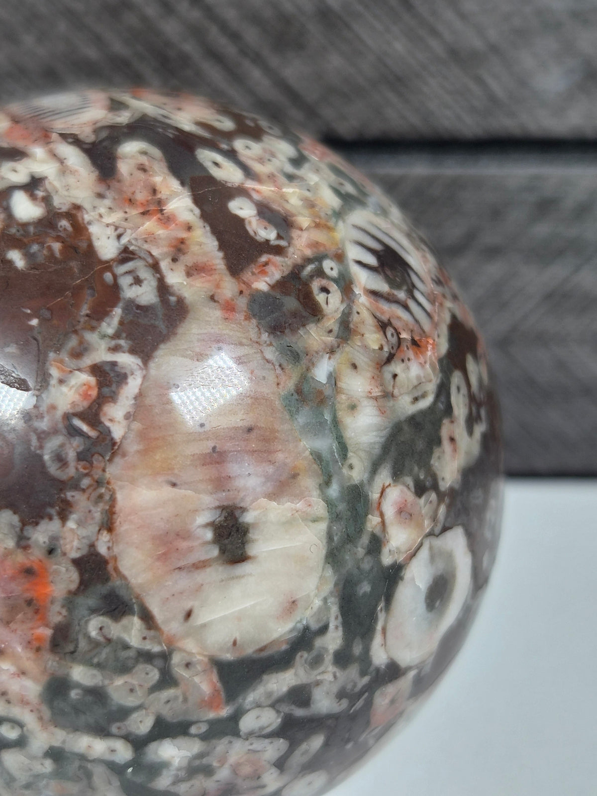 Cronoïde fossiel Bol 322 gram