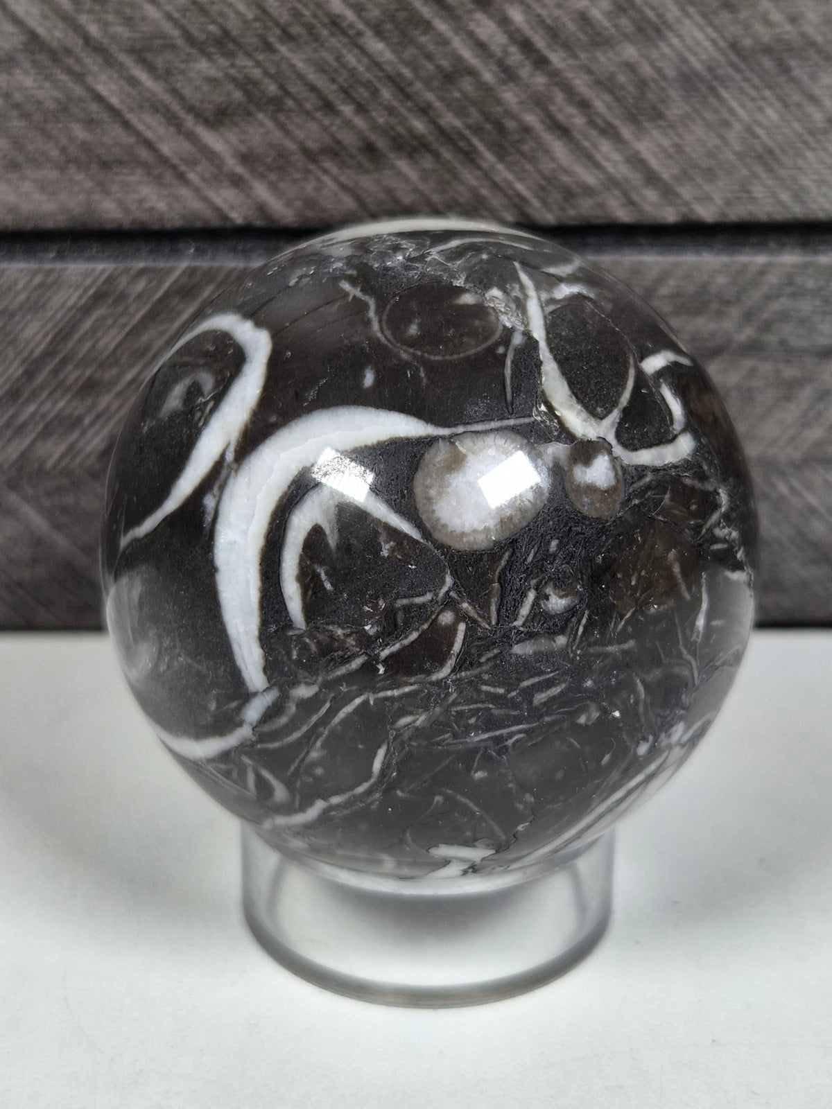 Sea Shell Jaspis bol 204 gram