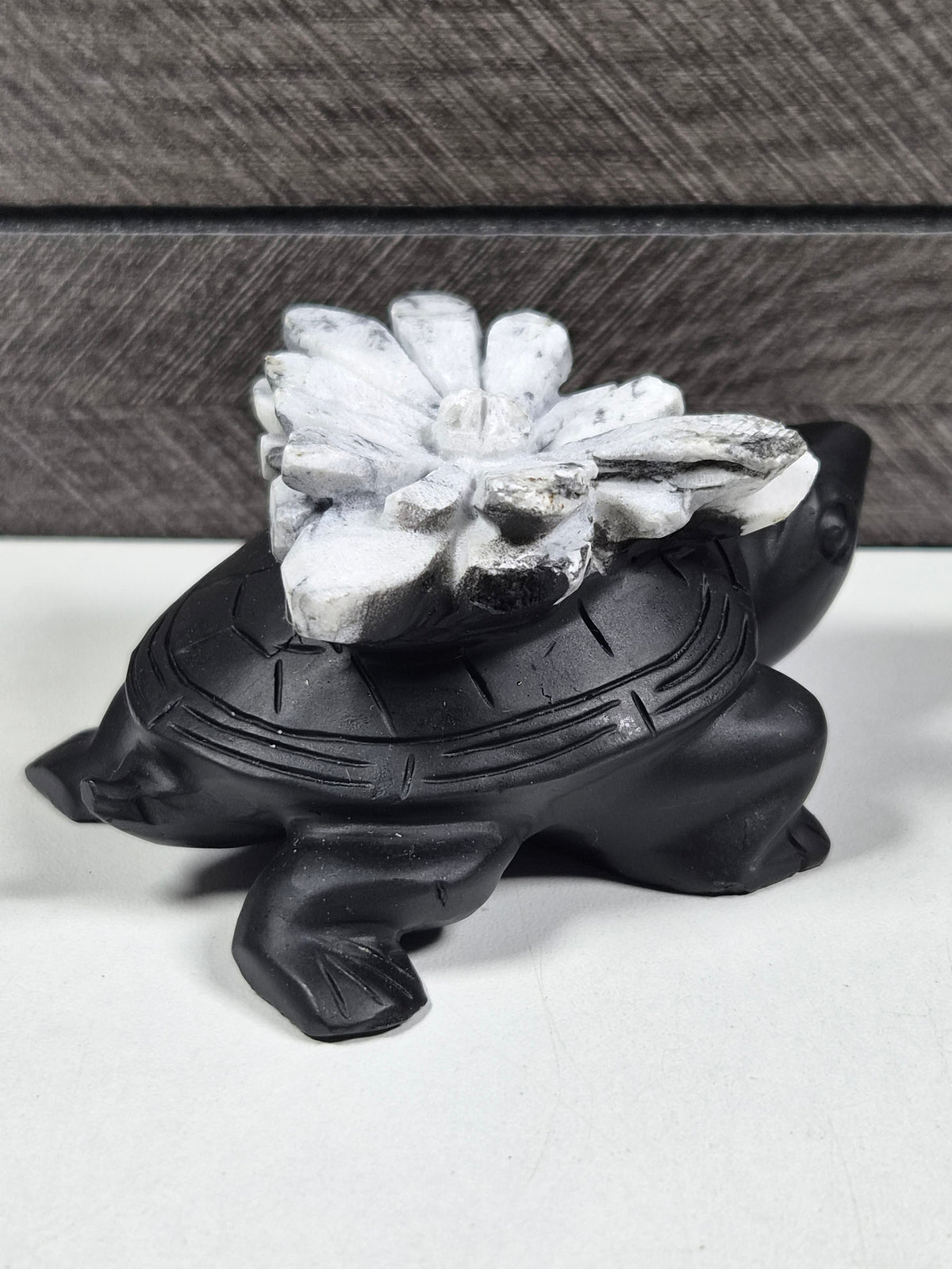 Chrystantemum Schildpad 276 gram