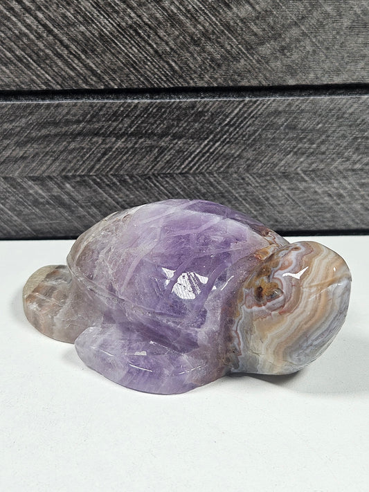 Amethist/Crazy Lace Schildpad 190 gram