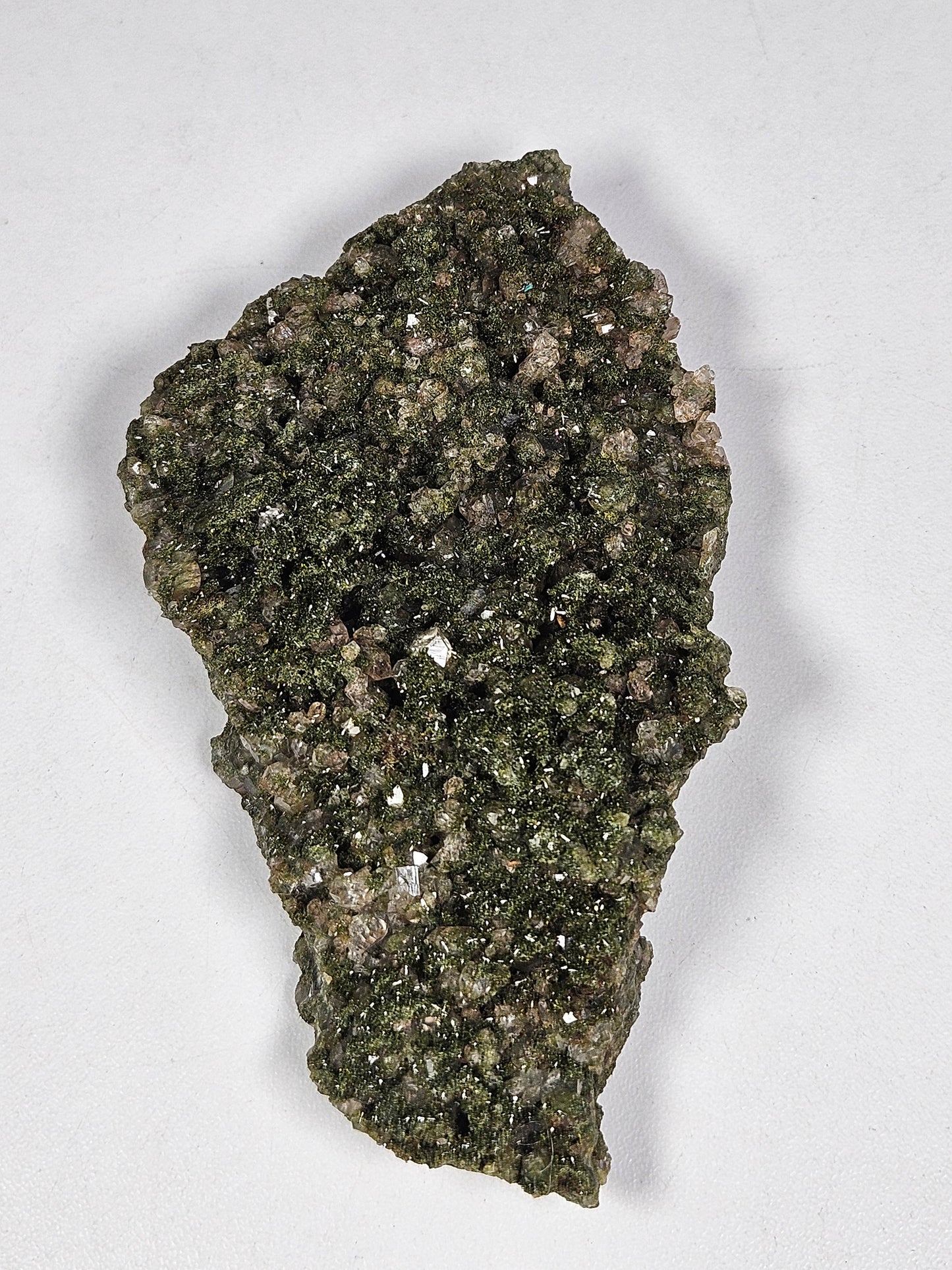 Forest Epidoot 130 gram