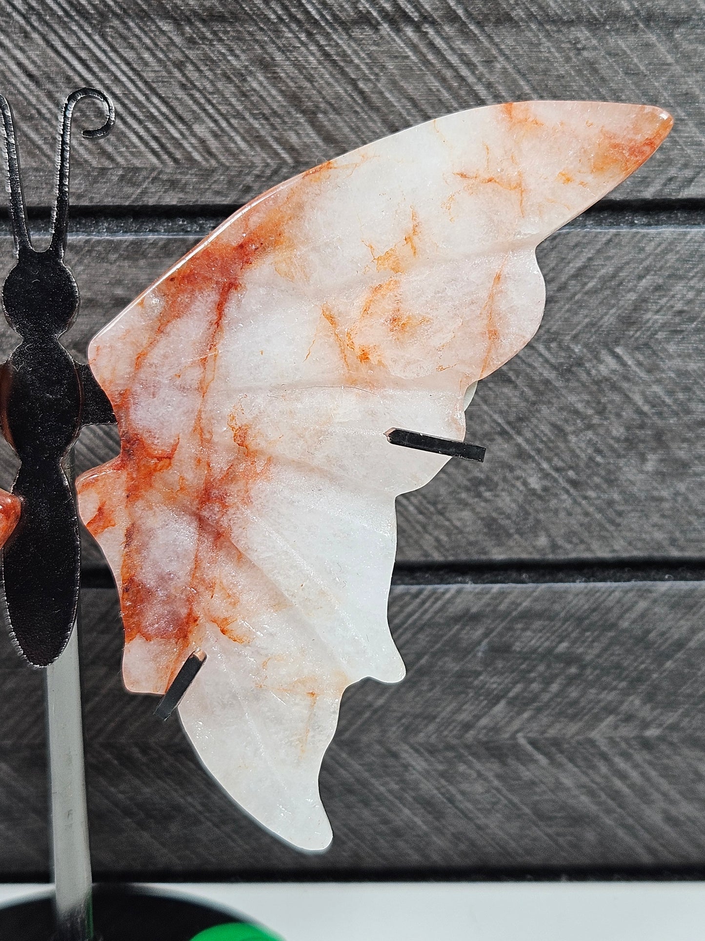 Vuurkwarts vlinder Q5