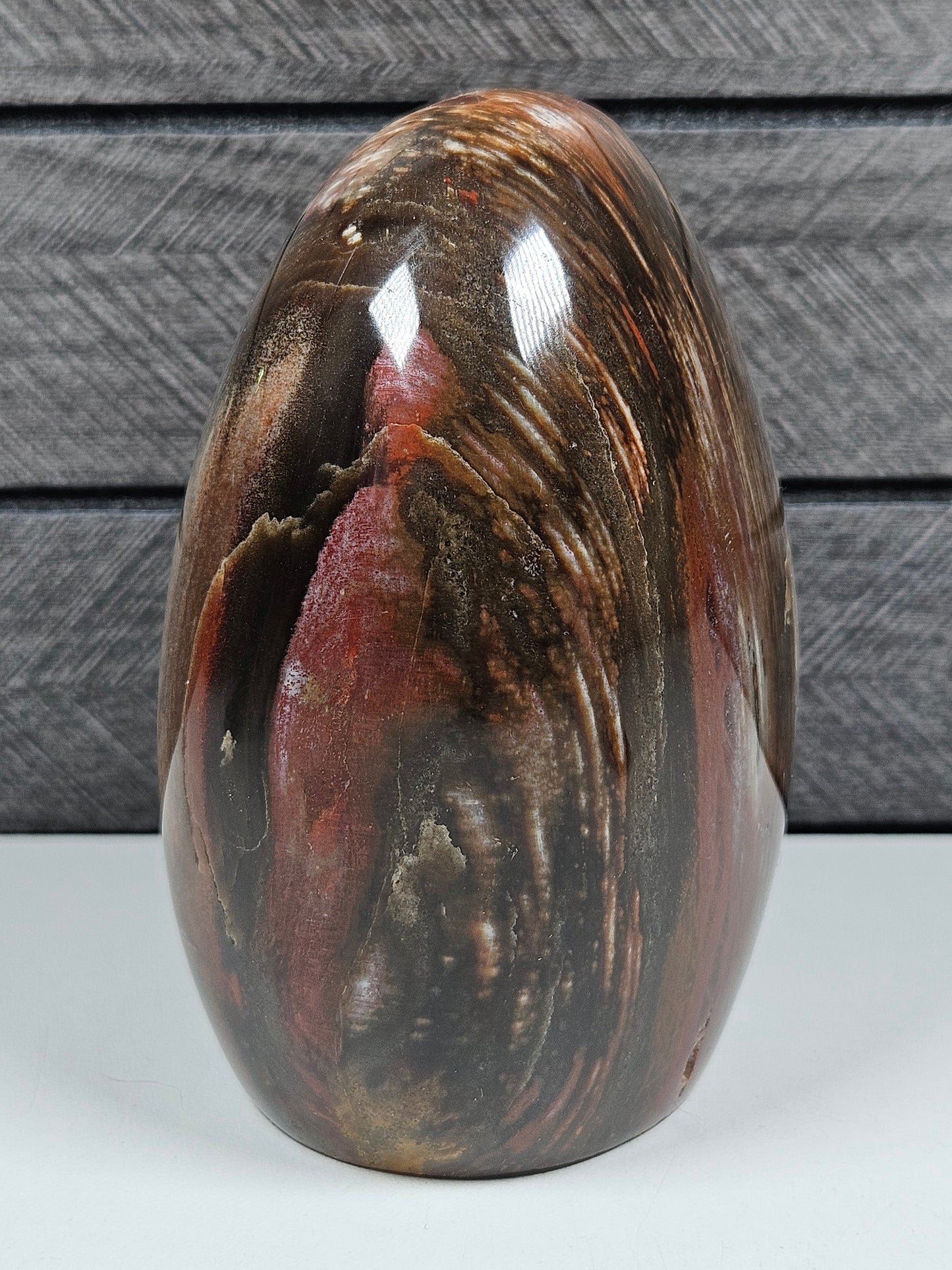 Versteend Hout sculptuur 618 gram